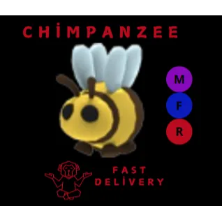 BEE MFR