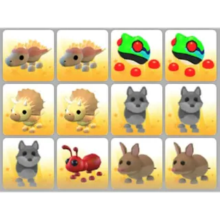 BUNDLE PET X12