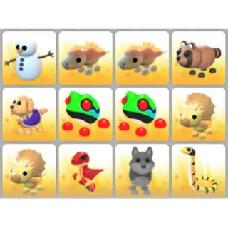 BUNDLE PET X12