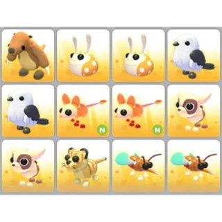 BUNDLE PET X12