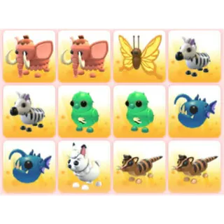 BUNDLE PET X12