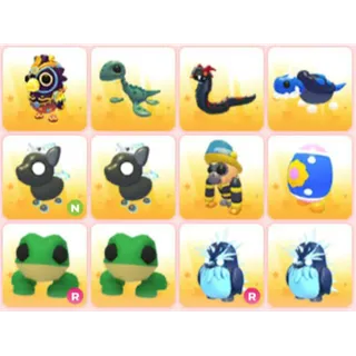 BUNDLE PET X12
