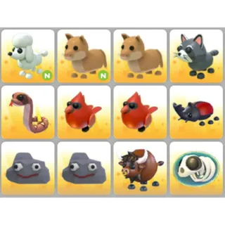 BUNDLE PET X12