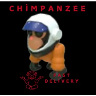 ASTRONAUT GORILLA 