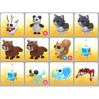 BUNDLE PET X12
