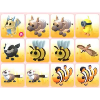 BUNDLE PET X12