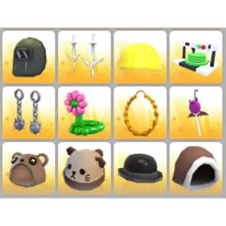 BUNDLE PET WEAR X12