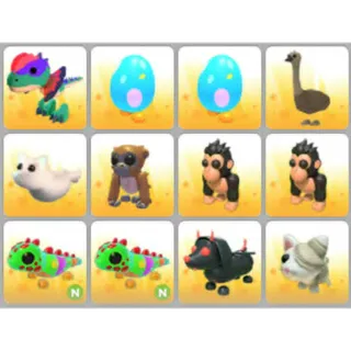 BUNDLE PET X12