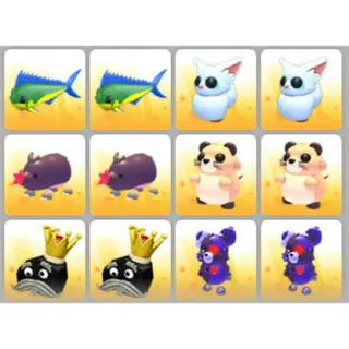 BUNDLE PET X12
