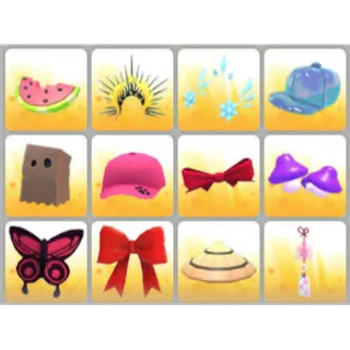 BUNDLE PET WEAR X12