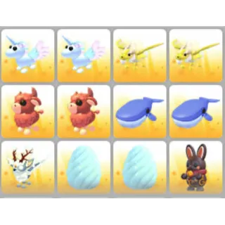 BUNDLE PET X12