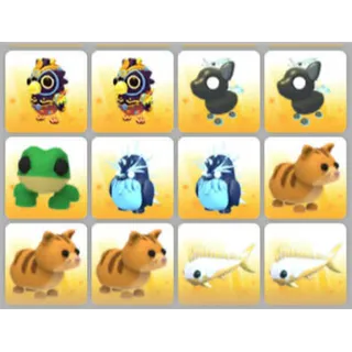 BUNDLE PET X12