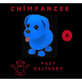 BLUE DOG R
