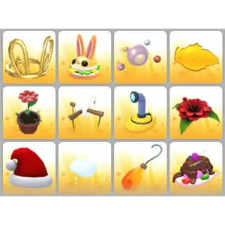 BUNDLE PET WEAR X12