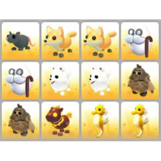 BUNDLE PET X12