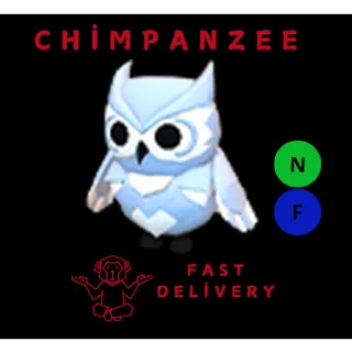 SNOW OWL NF
