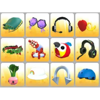 BUNDLE PET WEAR X12