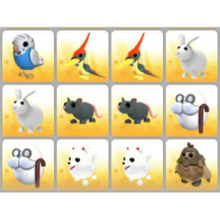 BUNDLE PET X12