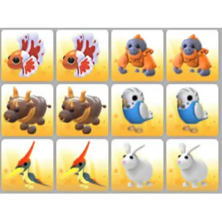 BUNDLE PET X12