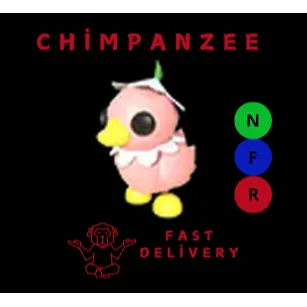 NFR Flower Power Duckling