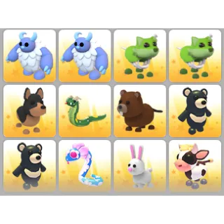 BUNDLE PET X12