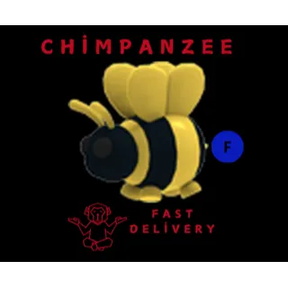 KING BEE F