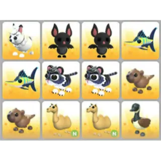 BUNDLE PET X12