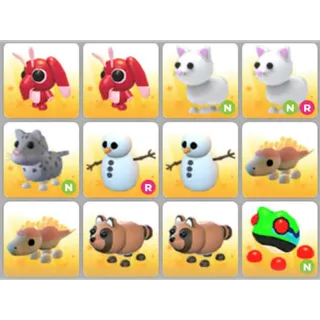 BUNDLE PET X12