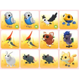 BUNDLE PET X12