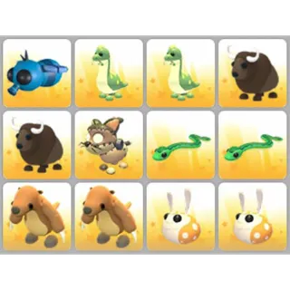 BUNDLE PET X12