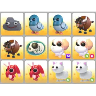 BUNDLE PET X12