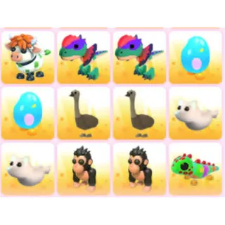 BUNDLE PET X12