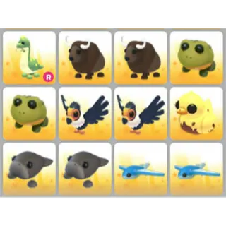 BUNDLE PET X12