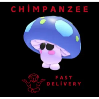 Mushroom Friend