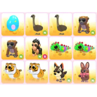 BUNDLE PET X12