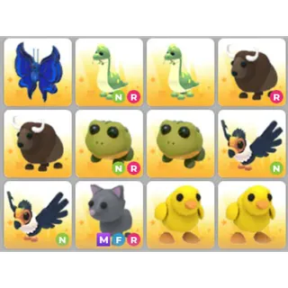BUNDLE PET X12