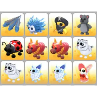 BUNDLE PET X12