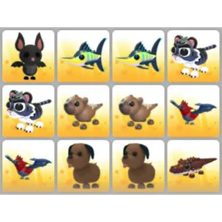 BUNDLE PET X12