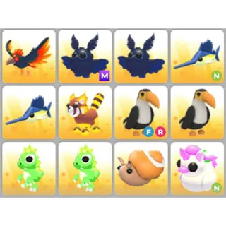 BUNDLE PET X12