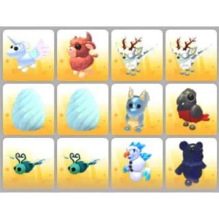 BUNDLE PET X12