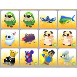 BUNDLE PET X12