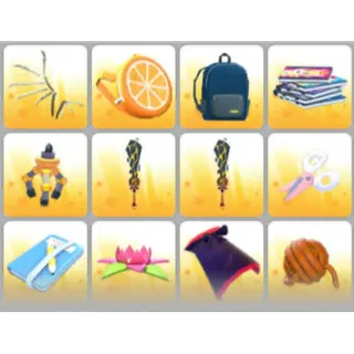BUNDLE PET WEAR X12