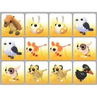 BUNDLE PET X12