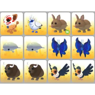 BUNDLE PET X12