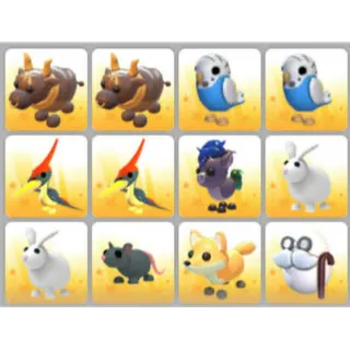 BUNDLE PET X12