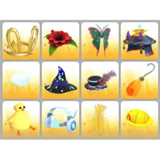 BUNDLE PET WEAR X12