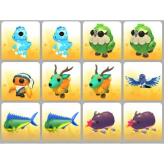 BUNDLE PET X12