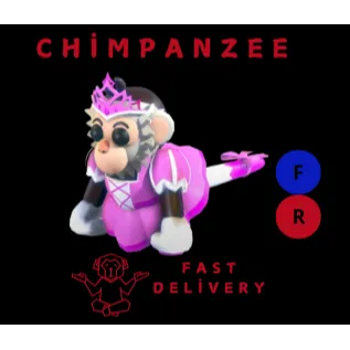PRINCESS capuchin monkey FR