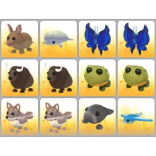 BUNDLE PET X12