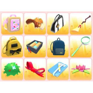 BUNDLE PET WEAR X12